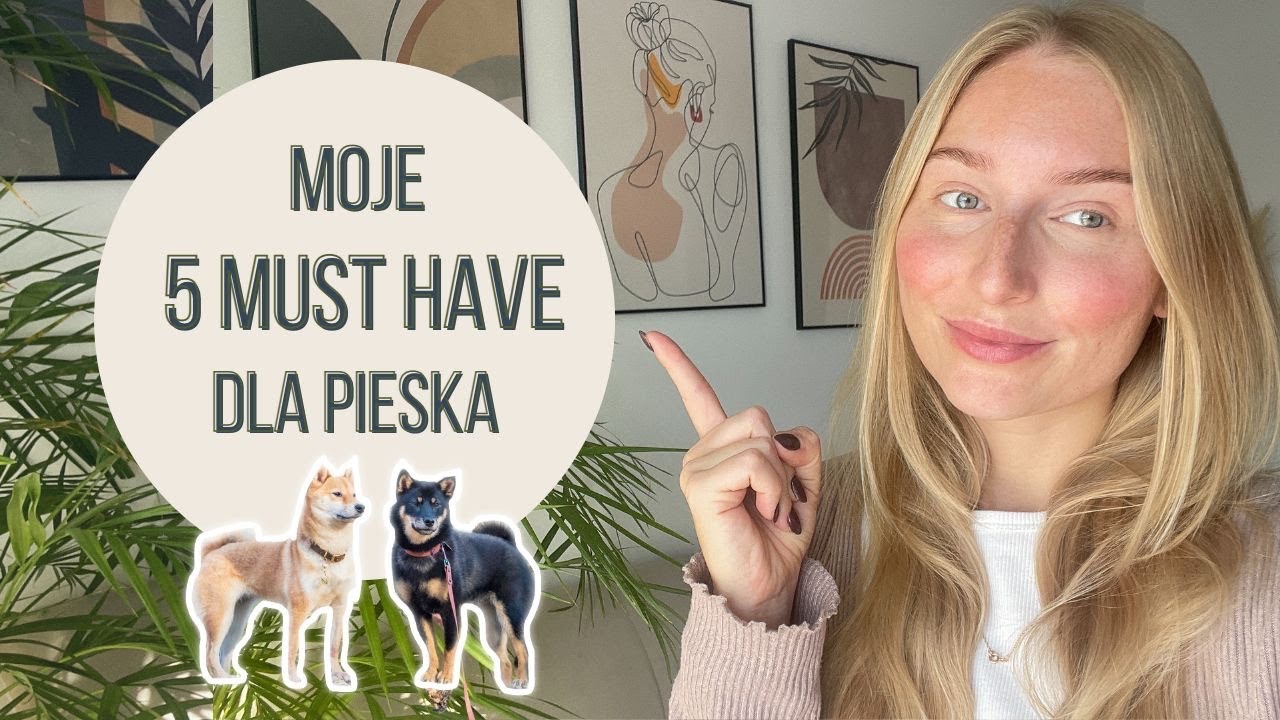 Co kupić dla psa żeby nie zwariować?😅💸 Moje TOP artykuły które ułatwią życie każdemu właścicielowi❗️