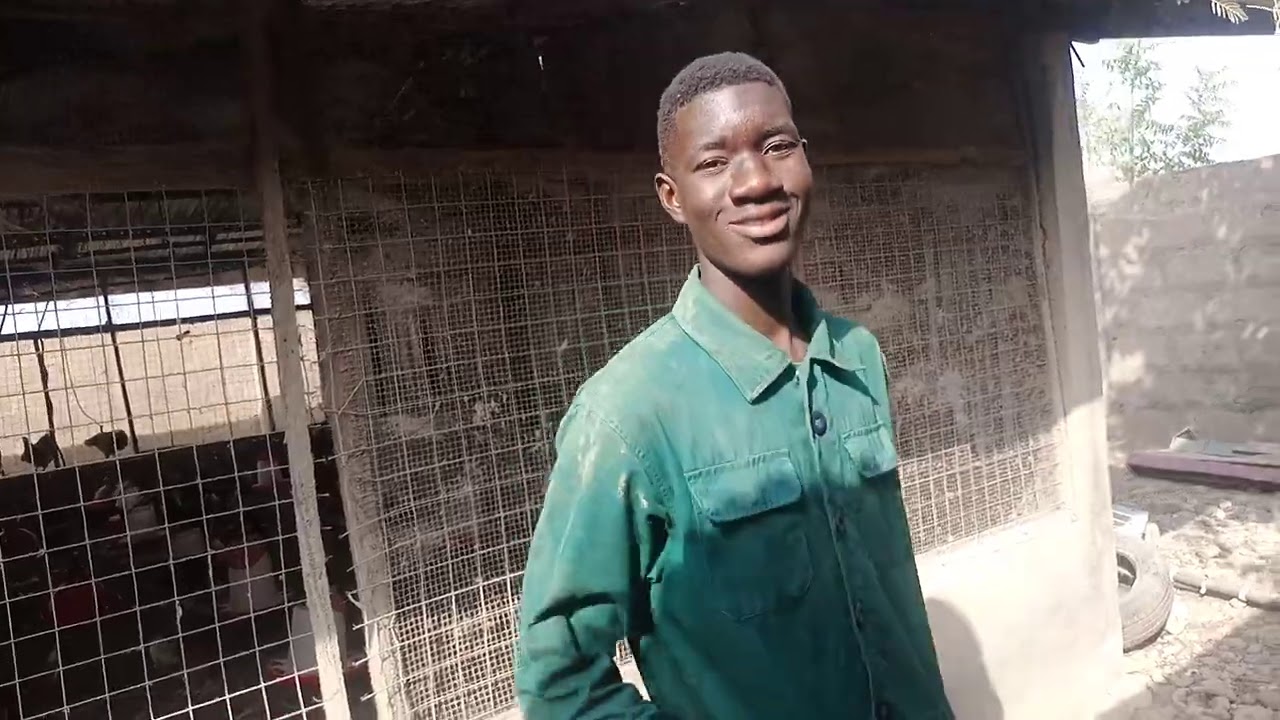 #Poultryfarminginnorthernghana  A TOUR TO A POULTRY FARM IN TAMALE, NORTHERN GHANA 🇬🇭