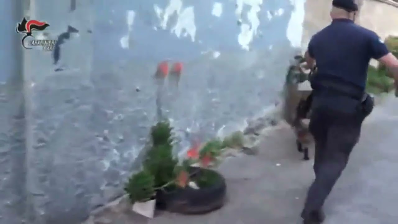 Gestivano droga e arsenale armi clan Parisi-Palermiti, 7 arresti