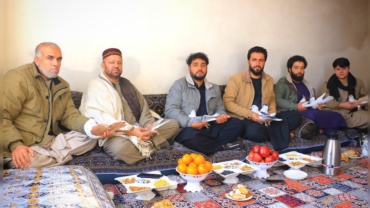 قیمت ترین کفترچپ100،000هزار افغانی|40کفترگلچین شده از هزار دانه|رونمایی از کفترهایکه بار اول میبینید