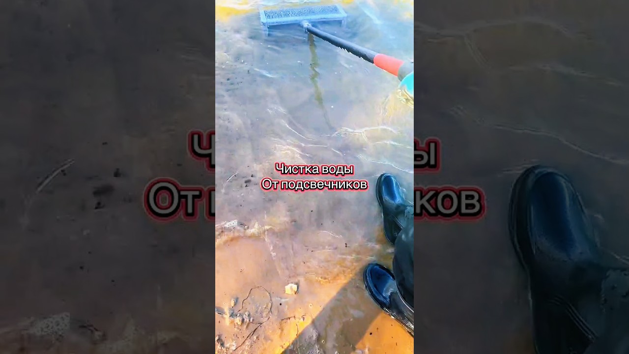 Beach Cleanup We Were Cleaning… Then THIS Happened