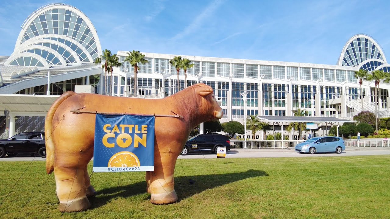 Exploring Orlando's International Drive: Cattlecon, Megacon, ICON Park · Florida Walk 4K