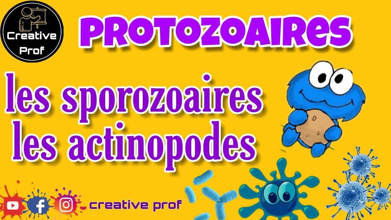 Biologie Animale : Les Protozoaire (Les Actinopodes , Les Sporozoaires) (darija)