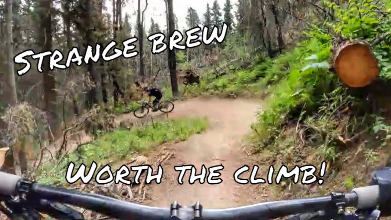 Strange Brew A Flowy, Rooty, Rocky Blue Trail in West Bragg Creek Alberta Canada