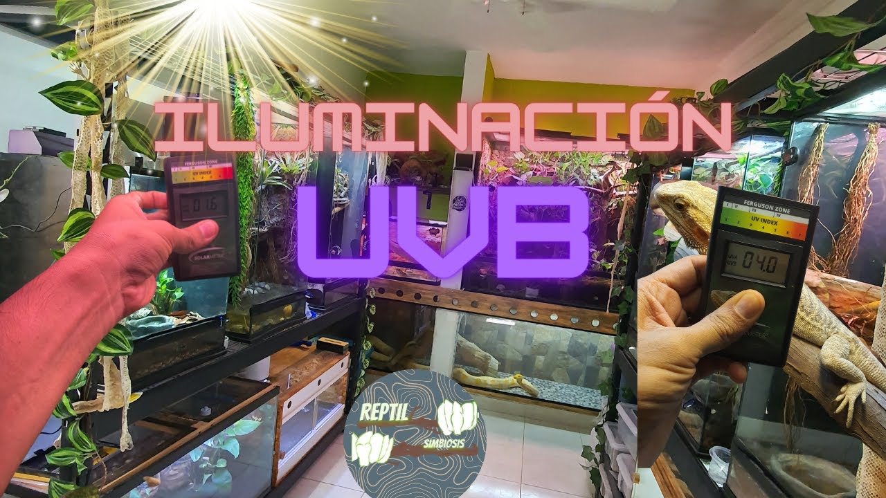 ILUMINACION UVB