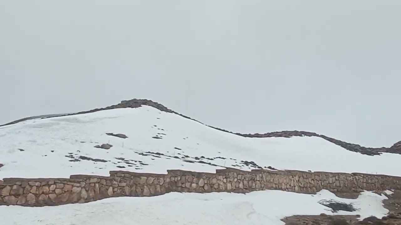 6 فبراير 2026