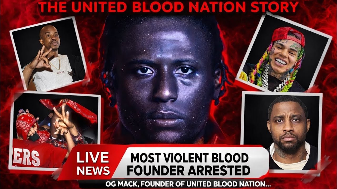 Внутри Bloods: Восхождение Омара Порти 🚩