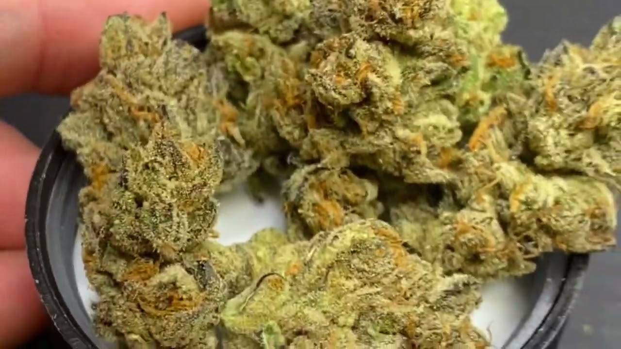 Chemtrail og strain review by cream of the crop gardens full review at ig: cali_bud_reviews