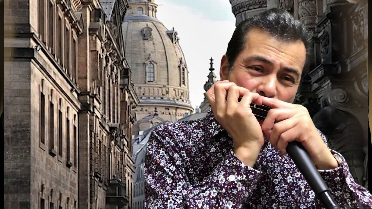Tsunami Chromatic Harmonica jazz サザンオールスターズ　ツナミ　クロマチック ハーモニカ