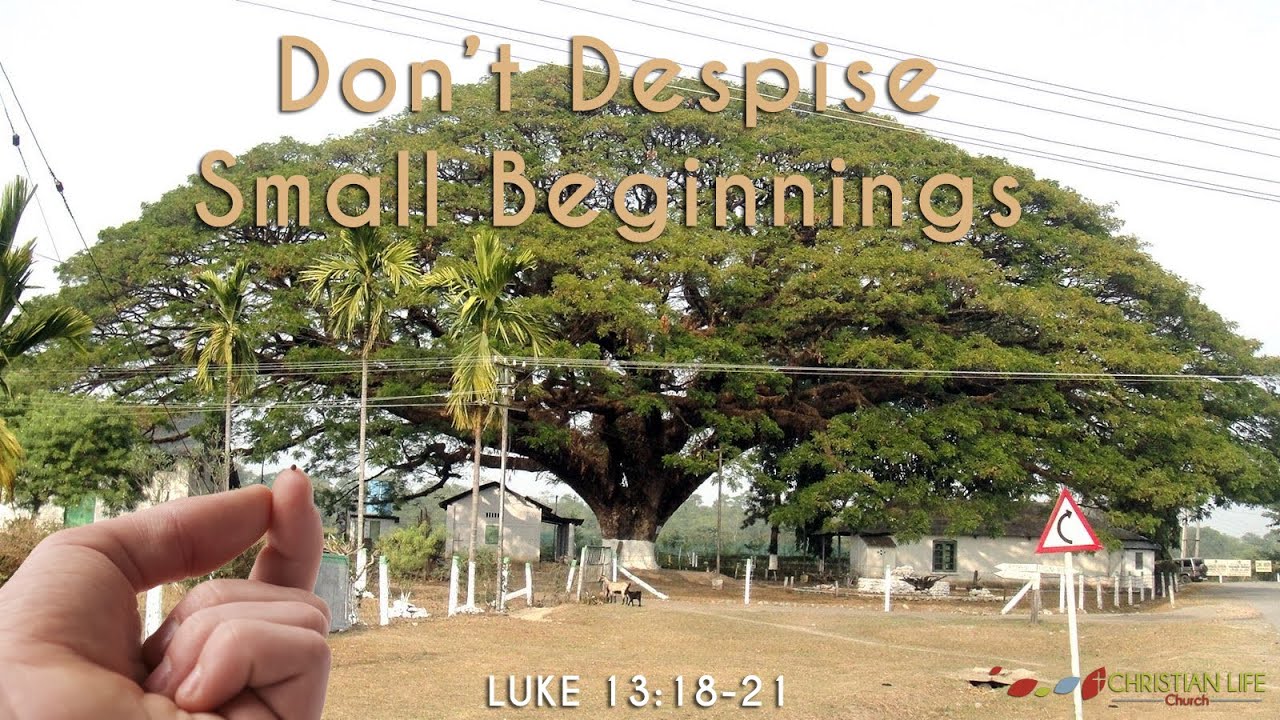 Do Not Despise Small Beginnings | Luke 13:18-21