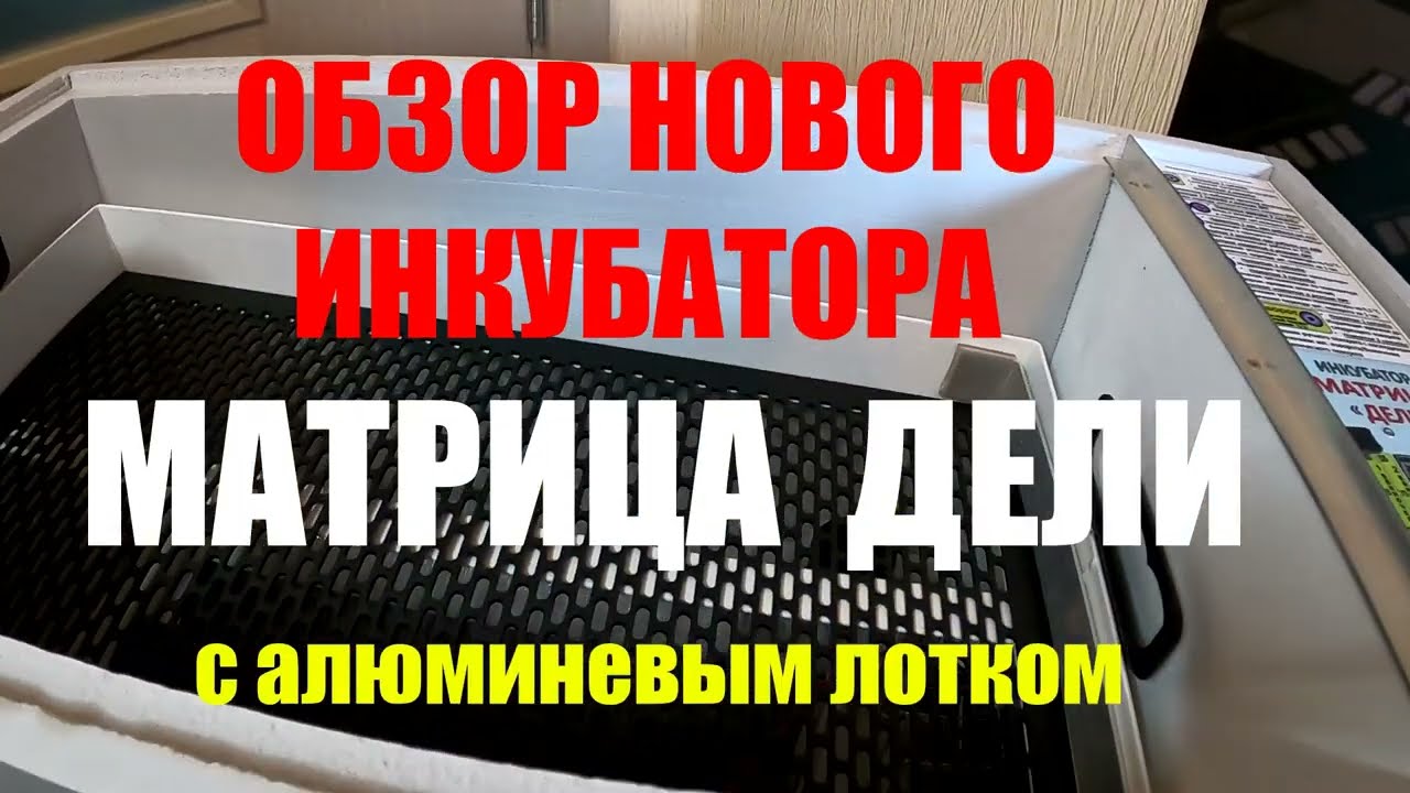 Обзор инкубатора МАТРИЦА - ДЕЛИ