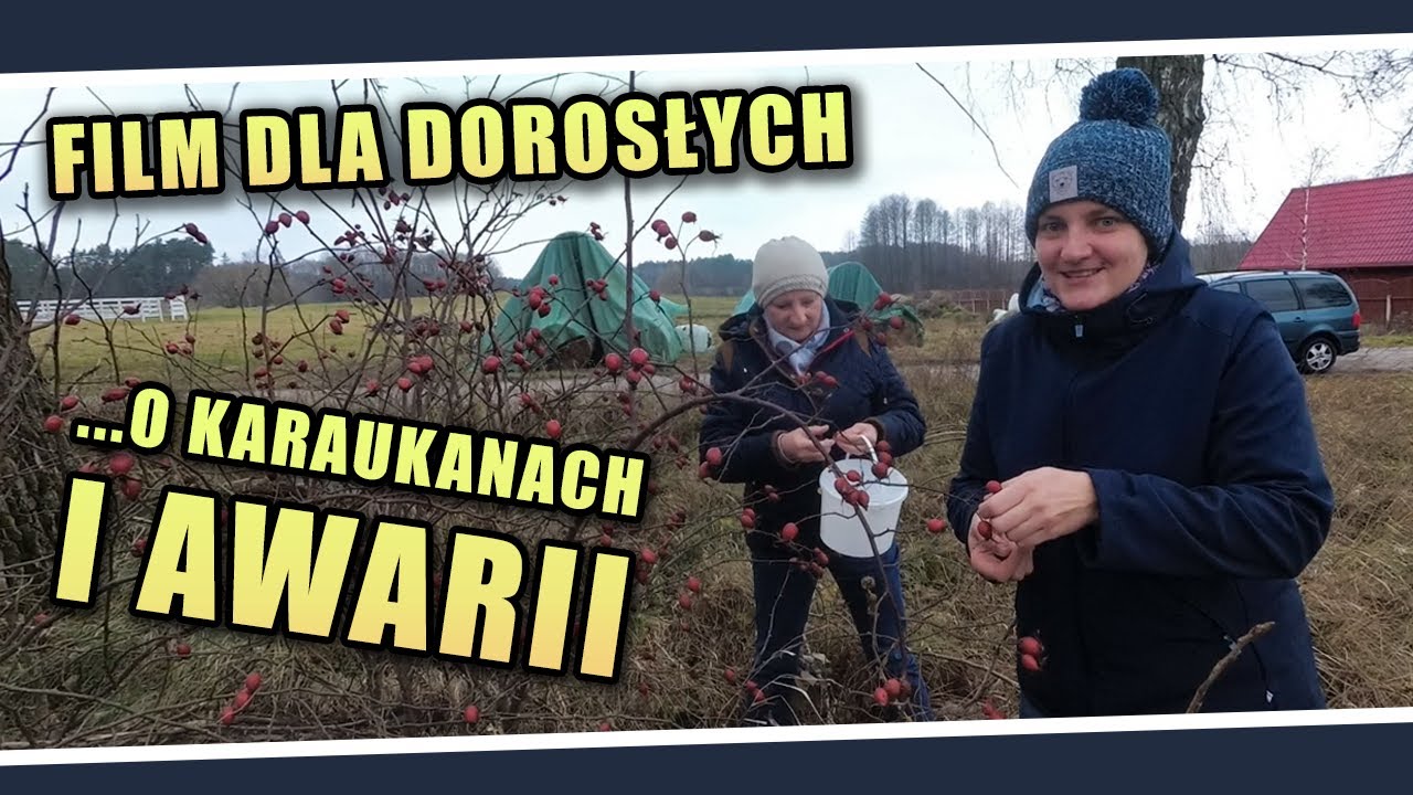 Film dla dorosłych... o karaukanach i awarii 👨&zwj;🔧