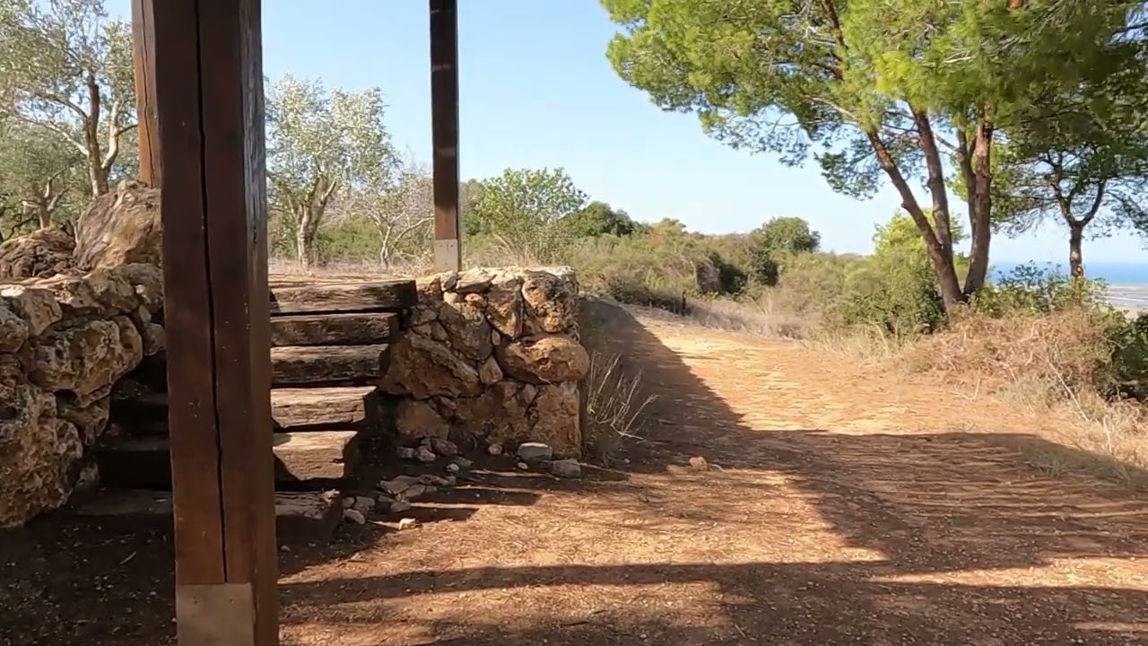 ORANGE RUN at Ramat HaNadiv Israel 12/2024 רמת הנדיב