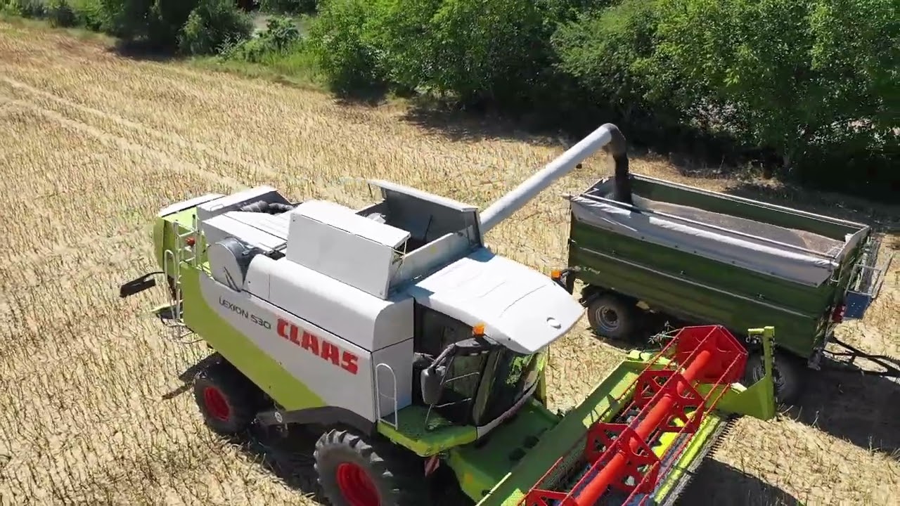 CLAAS LEXION 530 +FENDT VARIO 516 - Canola harvest Hungary 🇭🇺 (Talhammer Családi Gazdaság)