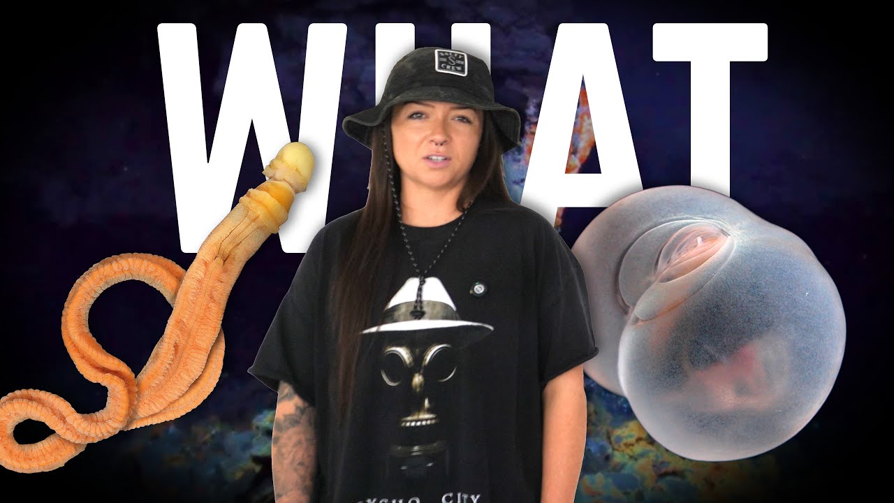 Some freak ass worms | Lindsay Nikole