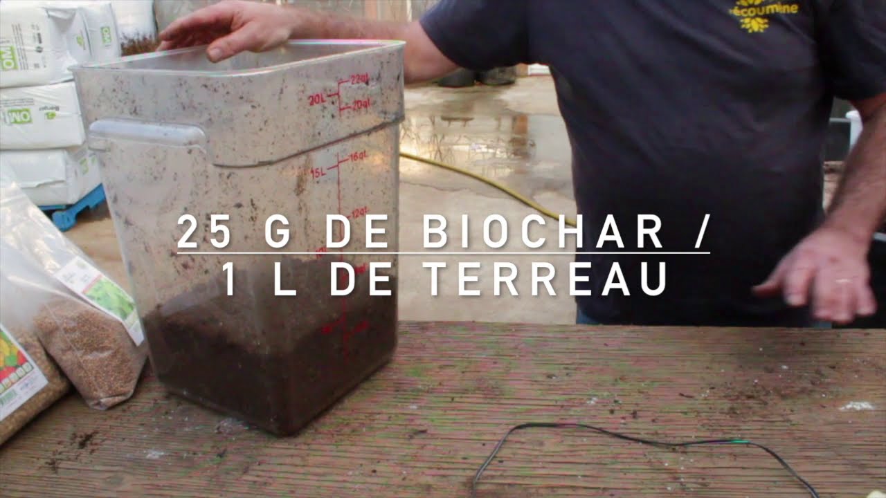 BIOCHAR : APPLICATION EN POT -- SEMIS | REMPOTAGE