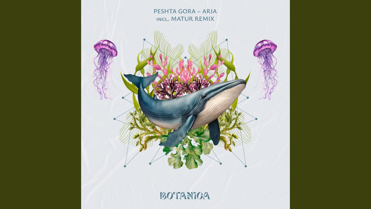 Aria (Extended Mix)