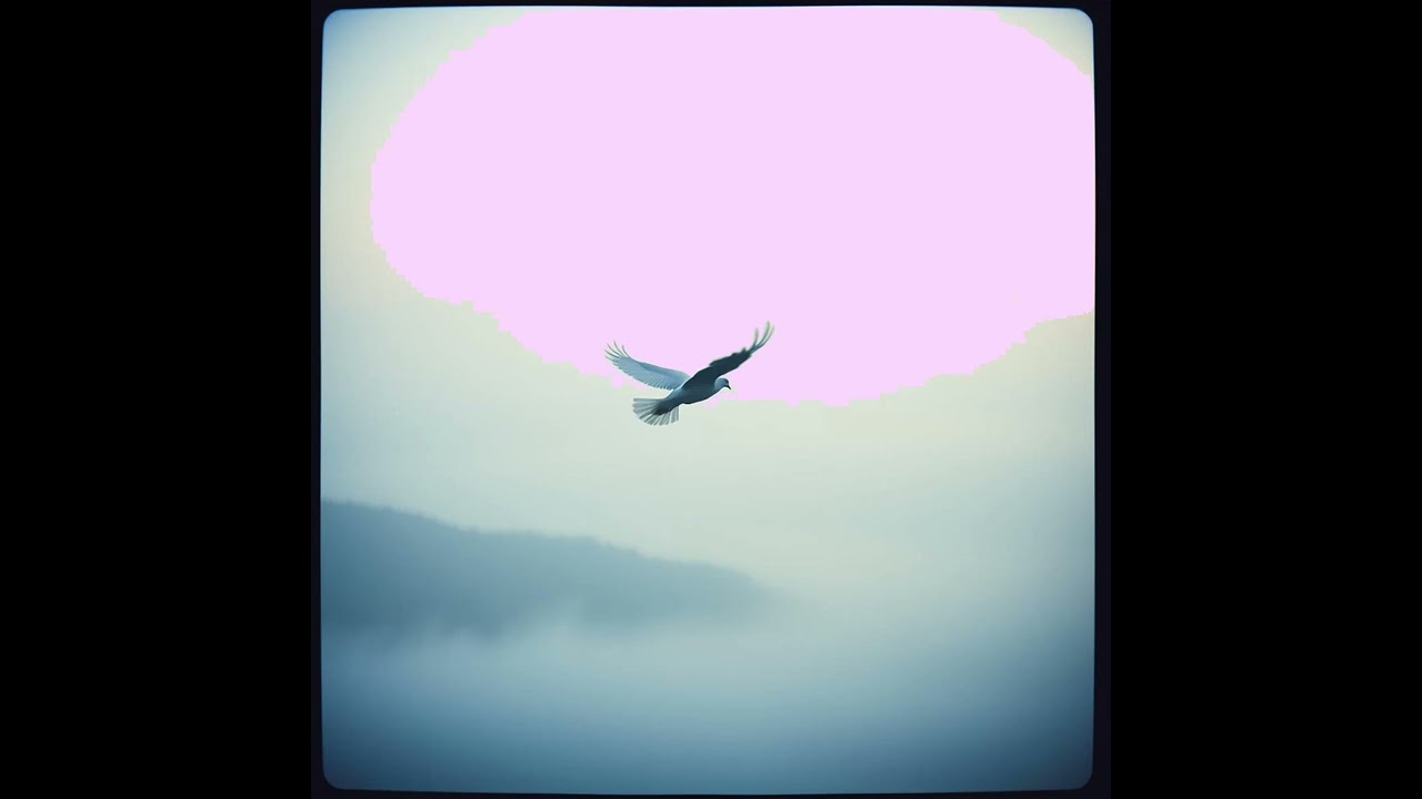 Cousin Morning Dove