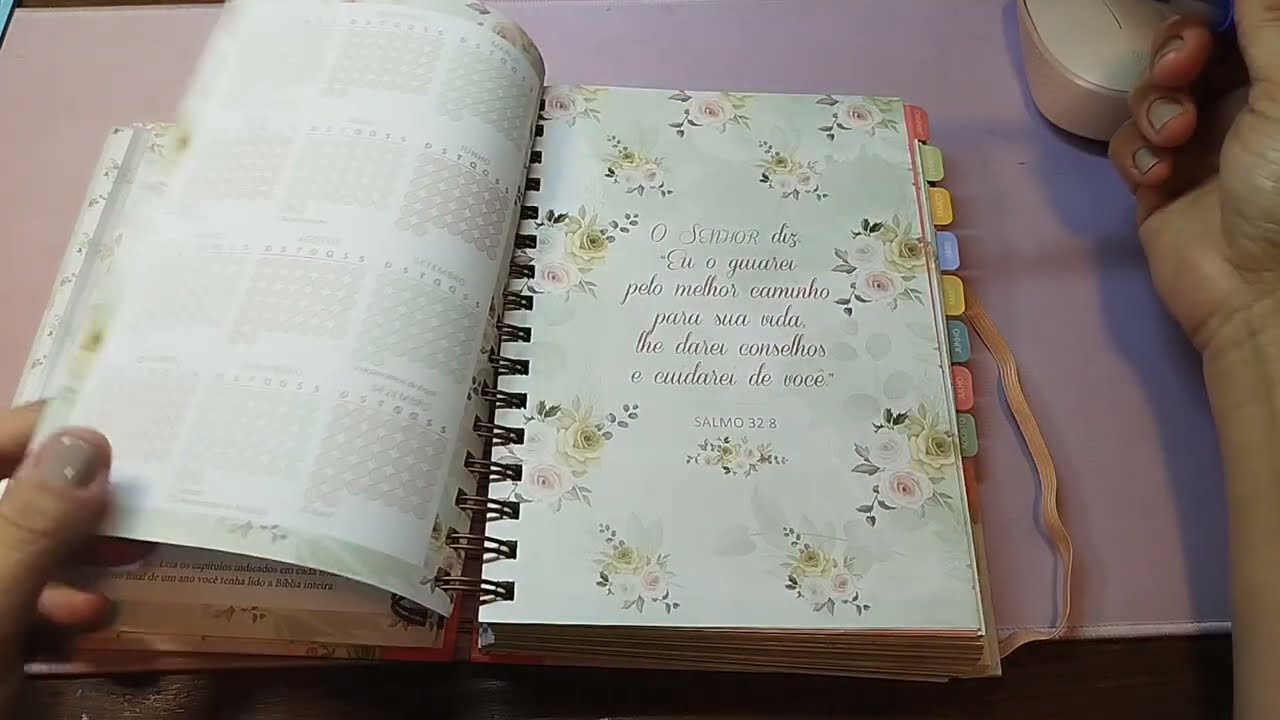 Meu plano com Deus/Planner permanente/ pão diário 