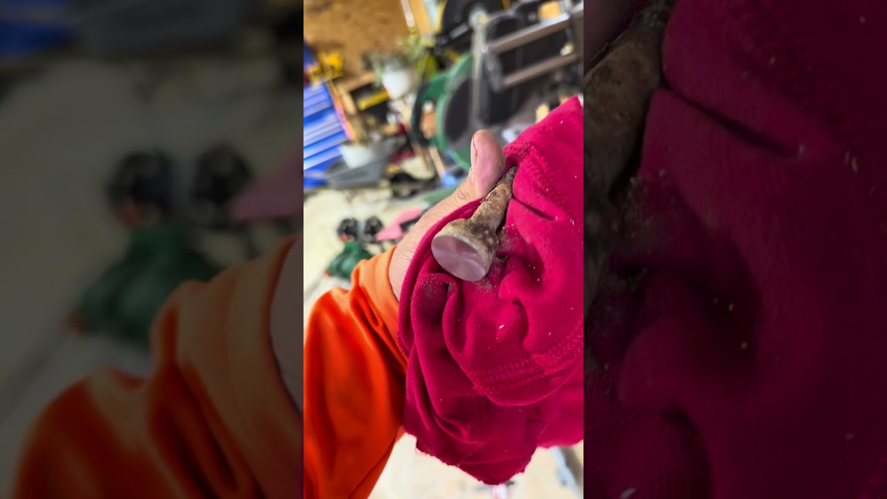 Bandit sg40 teeth sharpening #bandit #stumpgrinding #treeremoval #techniques #fyp #pov #tools 