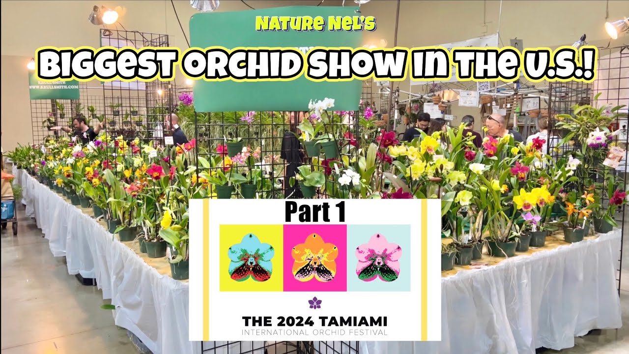 Part 1 of THE GREATEST ORCHID SHOW IN THE U.S. come see more orchids than the eye can handle.