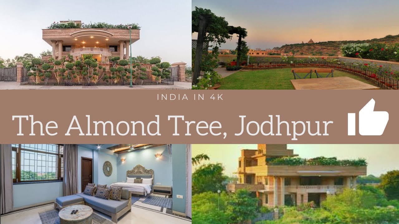 The Royal Stay Near Umaid Bhawan Palace - The Almond Tree, Jodhpur