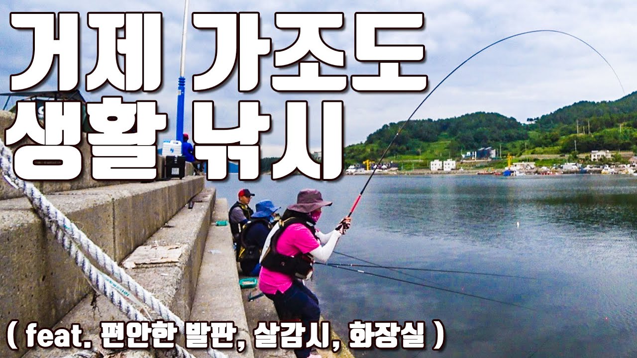 [다리tv] 강추!!! 가조도 가족낚시 포인트!!! 얼른 커라 감성돔!!! ☆ 포인트의 완성은 매너입니다 ☆