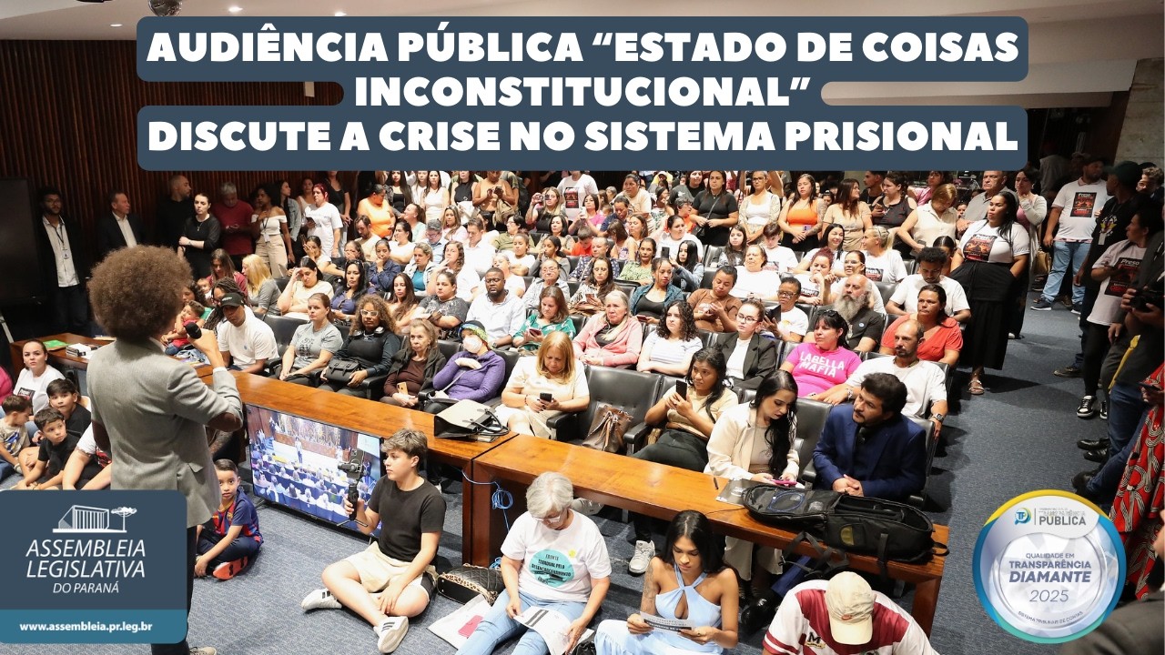 Audiência Pública 