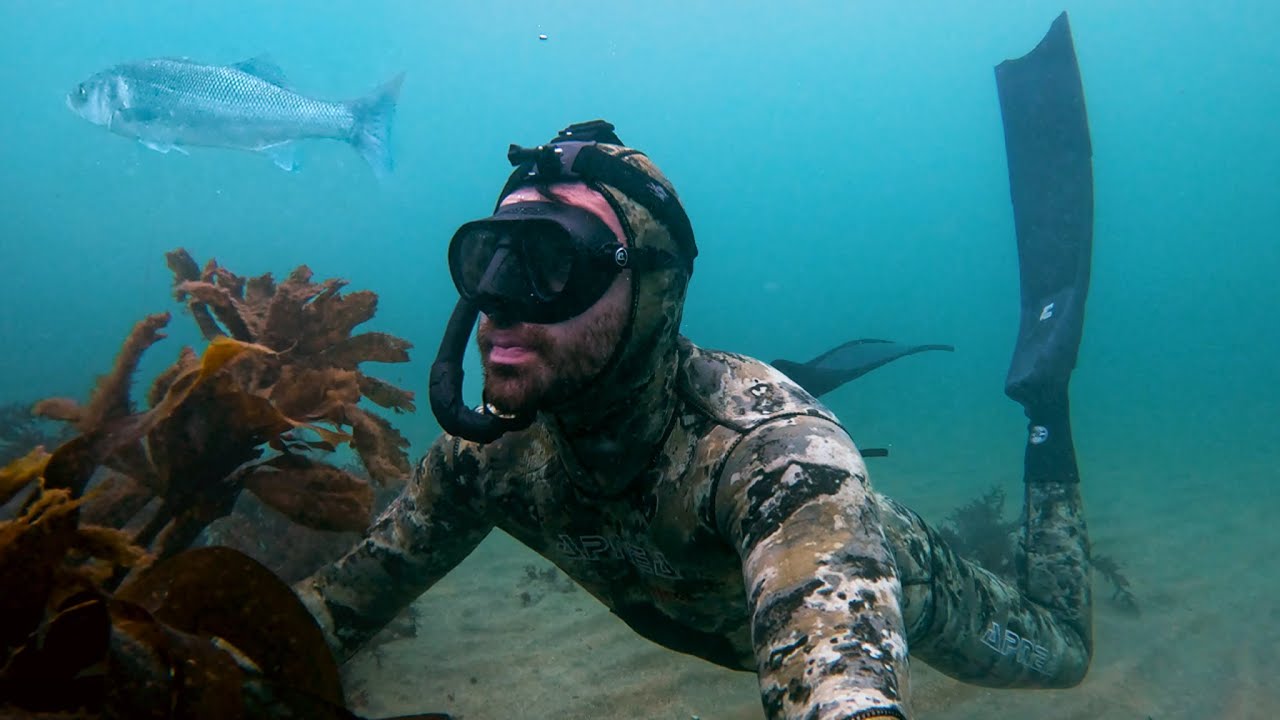 South Cornwall: Spearfishing & Homemade Fish and Chips!