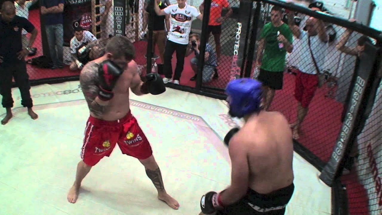 3 Fights @ MMA Vienna