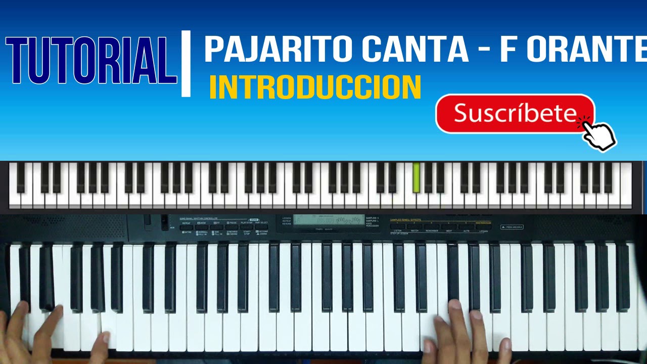 pajarito canta piano tutorial francisco orantes | little bird sings piano