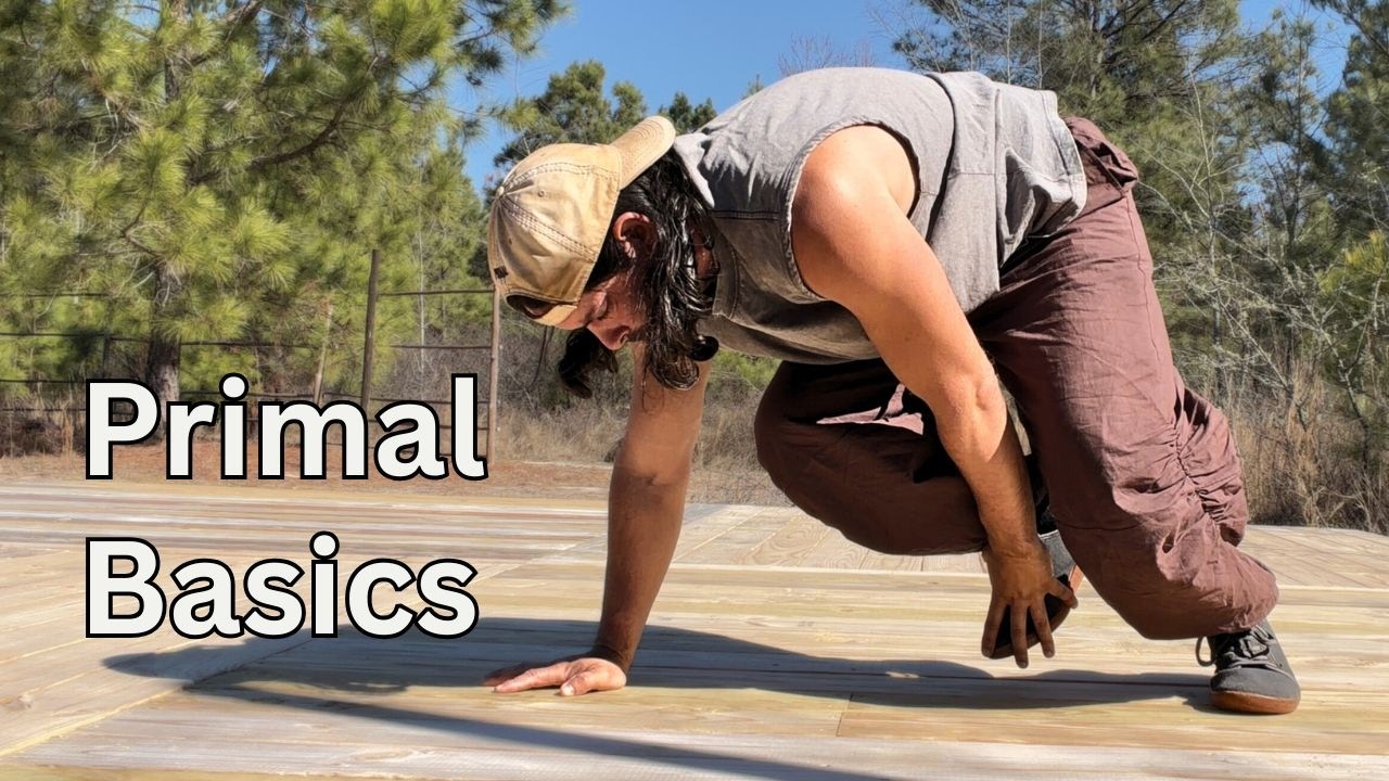 Primal Strength for Beginners | Full Follow ALong