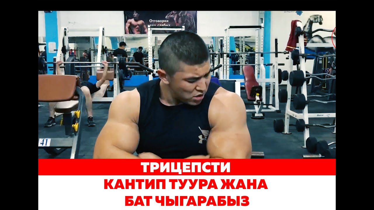 ТРИЦЕПСти туура жана Үй шартында кантип чыгарабыз - Келдибек Атайбеков
