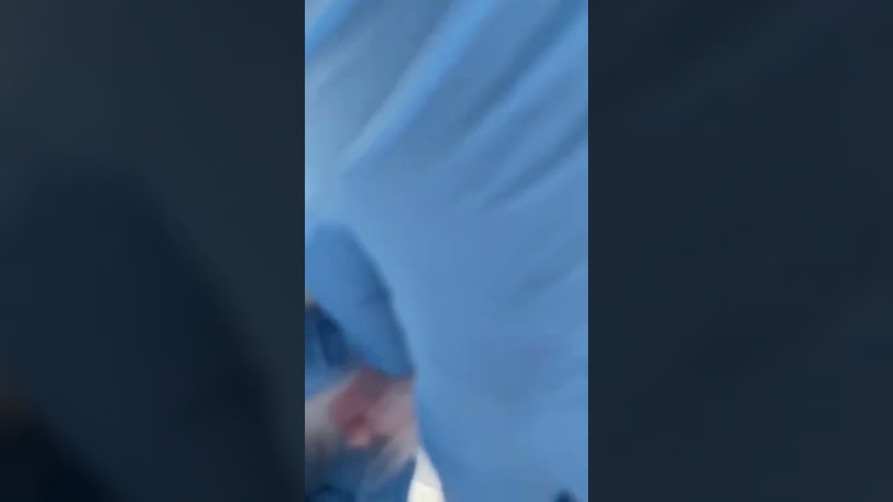 Doğum yapamayan kedimizin sezeryan operasyonunu gerçekleştirdik 😸😸😸😸