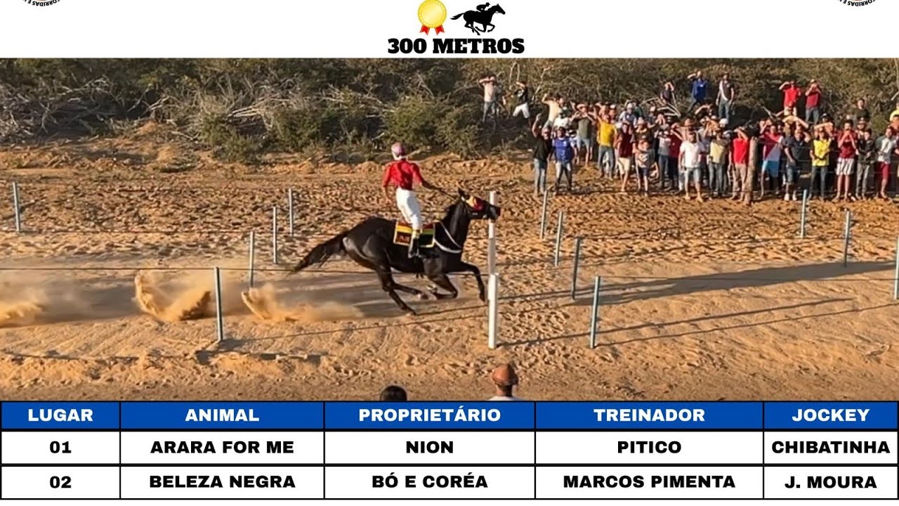 ARARA FOR ME: Corrida de Cavalo: A Mega Inaugura&ccedil;&atilde;o Das Raias De Nion! #cavaloscorridasehistorias 