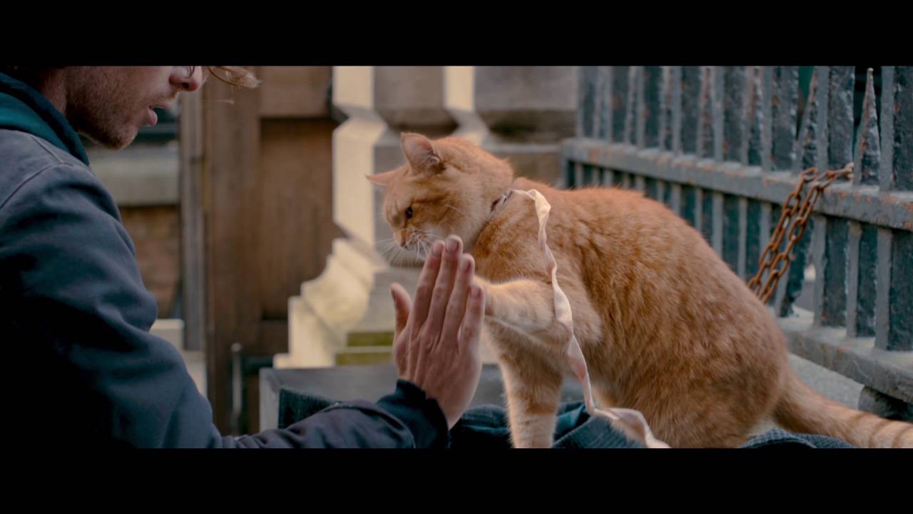 Bob, der Streuner | Trailer