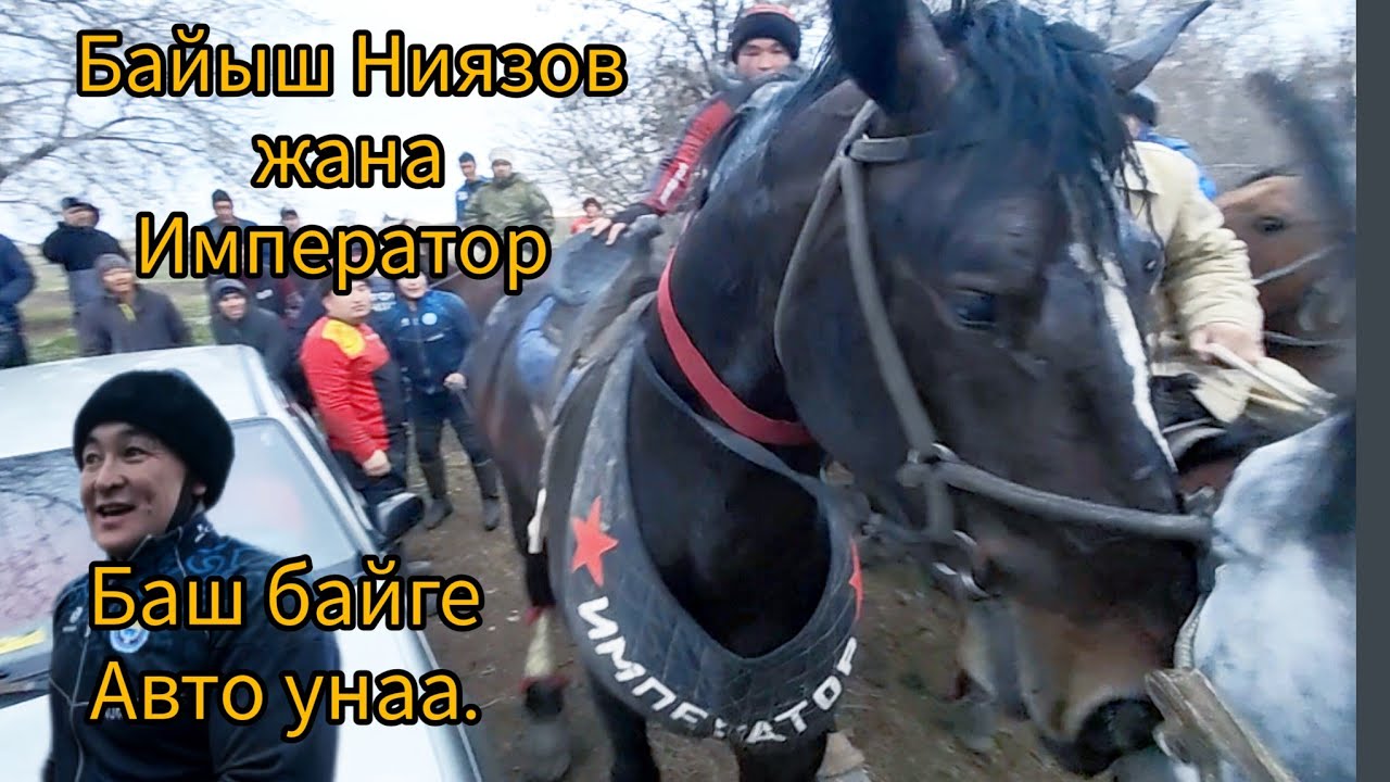 Асылбек акенин улагындагы баш байгени Байыш балбан Император менен салып кетти.