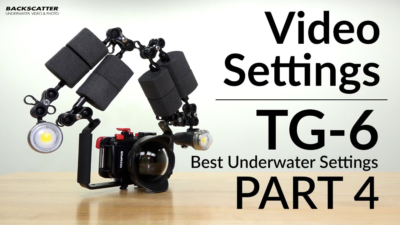 Olympus TG-6 | Best Underwater Camera Settings | Part 4 - Video Settings