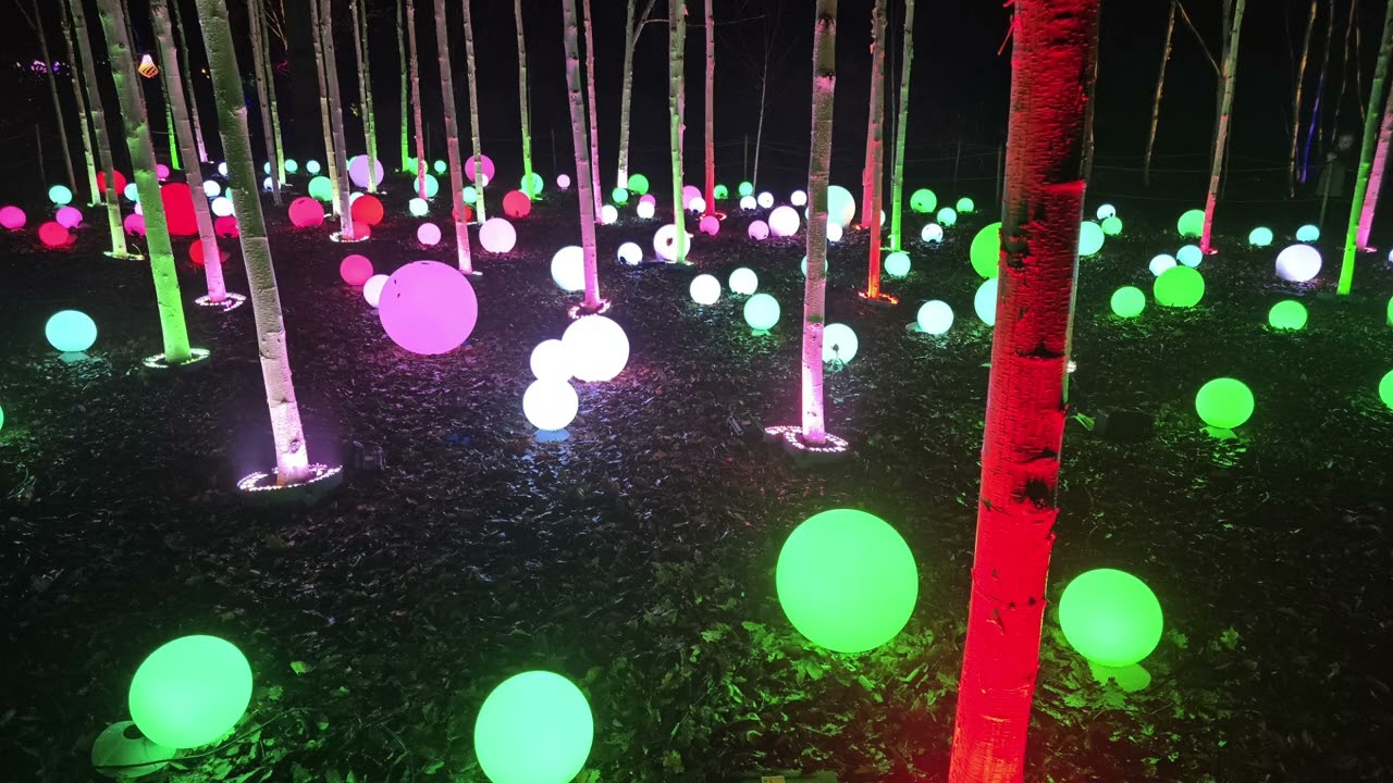 Dunham Massey Light Trail 2025