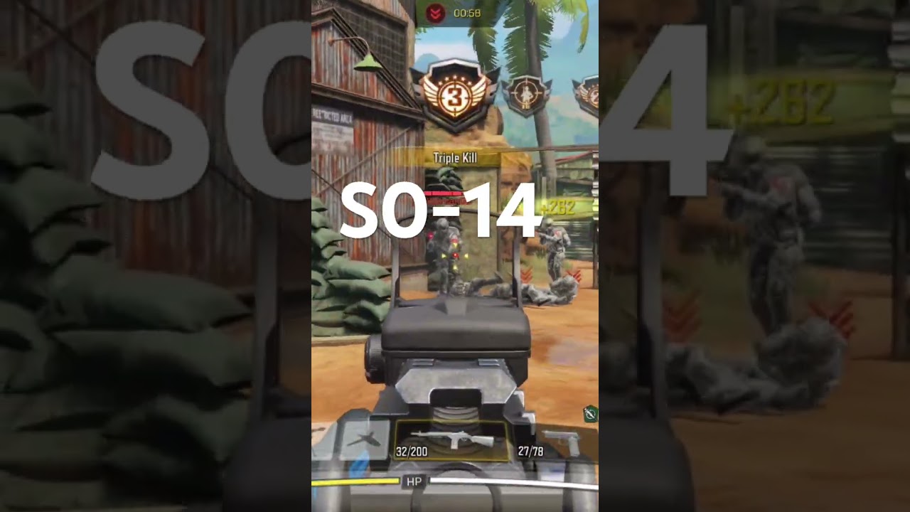 S0-14 Assault Rifle cod mobile