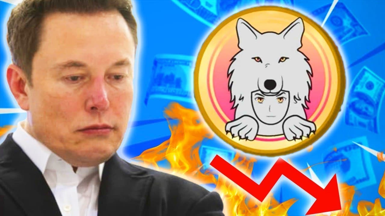 SAITAMA INU BAD NEWS: ACT QUICK OR LOSE IT ALL...YOUR CHOICE  (PRICE PREDICTION UPDATE TODAY 2022)