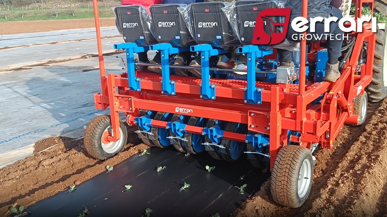 Ferrari FPA Next Transplanter – Broccoli transplanting and mulching
