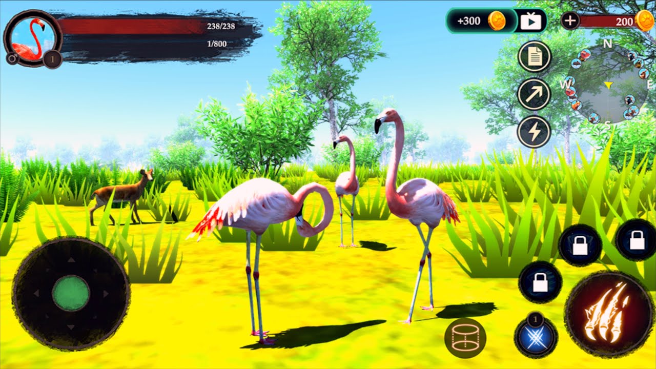 🦩 Flamingo Simulator The Story of The Beautiful Bird By Wild Life Part 2