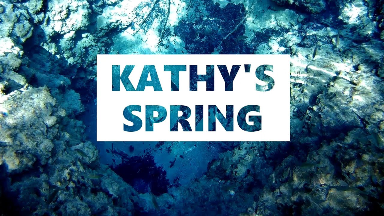 Kathy's Spring: An Unnamed Spring in Florida's Chipola River Basin