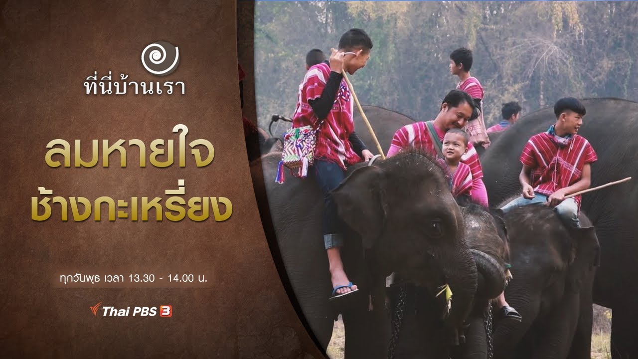 ลมหายใจ ช้างกะเหรี่ยง : ที่นี่บ้านเรา (19 ส.ค. 63)