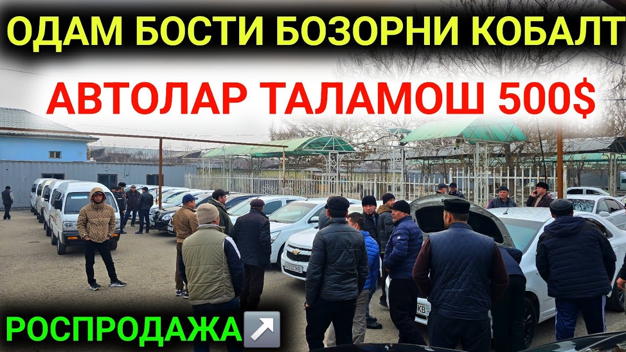 31-ЯНВАР ОДАМ БОСТИ БОЗОРНИ 500$ ДАН АВТОЛАР БЕРИЛМОКДА ТАЛАМОШ😱АРЗОНЧИ СИНДИРДИ КОБАЛТ ДАМАСЛАРНИ💥