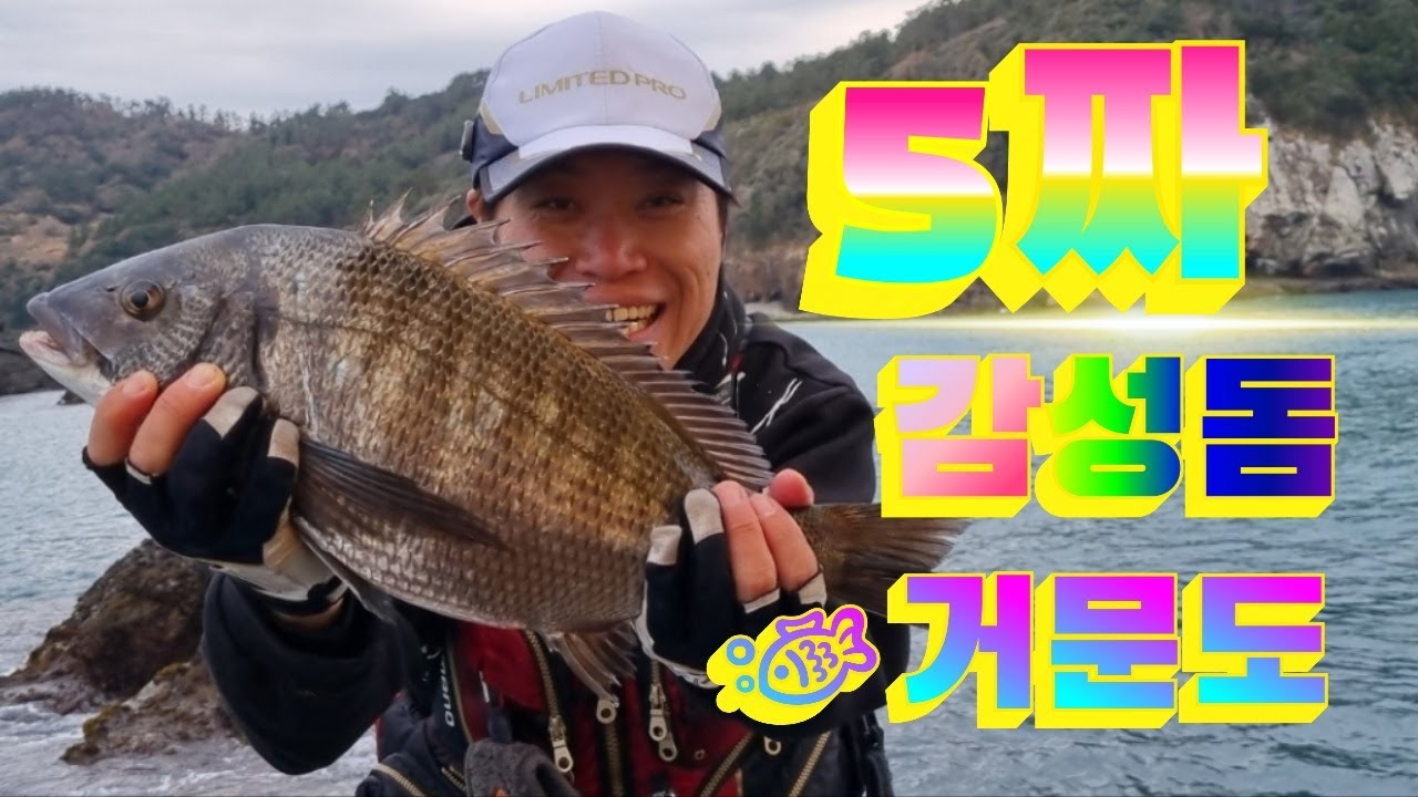 거문도 5짜감성돔 #바다낚시#거문도5짜감성돔#거문도갯바위#감성돔낚시#갯바위낚시#거문도동도특급포인트#fishing#black porgy#black sea bream#クロダイ#黑棘鲷