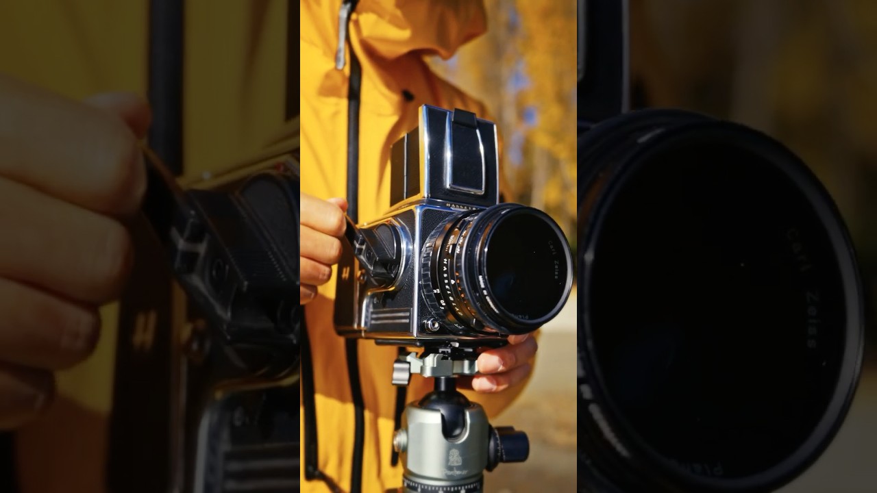 Timeless Elegance 🌿 Capturing Nature’s Beauty with Hasselblad