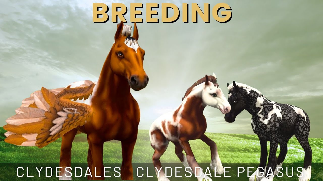Breeding Exclusive coats: Legendary Clydesdales & Clydesdale Pegasus in Star Equestrian!