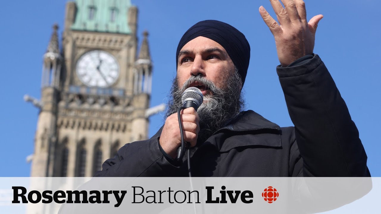 Diabetes treatment, contraception to be covered by new pharmacare deal: Singh
